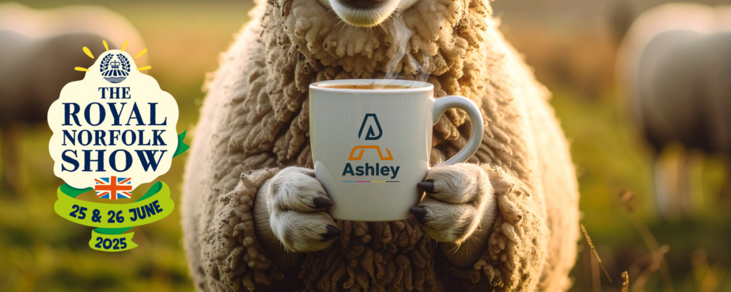 IMAGE FOR BLOG smaller