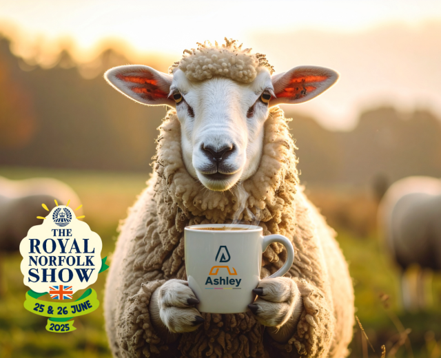 IMAGE FOR BLOG smaller